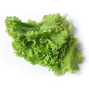 salat-listovoj-puchok